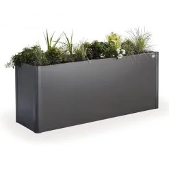 Biohort Pflanzbeet "Belvedere", Verzinktes Stahlblech, Zeitloses Design, Einlegeboden 8 Biohort Pflanzbeet "Belvedere", Verzinktes Stahlblech, Zeitloses Design, Einlegeboden -Pflanzen Paradies Verkauf 3230600061 Pflanzbeet Belvedere M dunkelgraumetallic3 65053