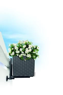 Lechuza Balkonkastenhalter Für Balconera Cottage, Schwarz, 2er-Set 5 Lechuza Balkonkastenhalter Für Balconera Cottage, Schwarz, 2er-Set -Pflanzen Paradies Verkauf 3240100090 Balkonkastenhalter schwarz fuer Balconera 4 5x19cm 1 25896