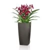 LECHUZA Cubico Premium, All-in-One-Set, Anthrazit-metallic, 22x22, H:41 Cm -Pflanzen Paradies Verkauf 3325100090 Cubico Premium22 anthrazit All in One Set 22x22x41cm RGB 7754