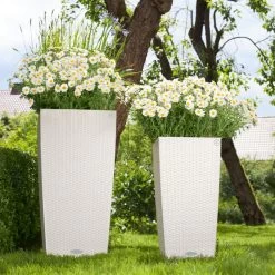 Lechuza Cubico Cottage 40, Weiß, All-in-One-Set -Pflanzen Paradies Verkauf 3325200002 Cubico Cottage40 weiss All in One Set 40x40x75cm RGB 7610