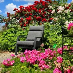 Kölle Sessel 'Australien', Alu, Polyester, Rücken Verstellbar 20 Kölle Sessel 'Australien', Alu, Polyester, Rücken Verstellbar -Pflanzen Paradies Verkauf 3910302460 113719