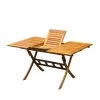 Balkon-Ausziehtisch 100/140x90 Cm Akazienholz 1 Balkon-Ausziehtisch 100/140x90 Cm Akazienholz -Pflanzen Paradies Verkauf 3910700391 Balkon Ausziehtisch 4284