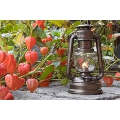 Feuerhand Sturmlaterne 'Baby Special 267', Bronze, 26,5 X 13,5 X 15 Cm -Pflanzen Paradies Verkauf 3990100191 feuerhand sturmlaterne 1 1 121596