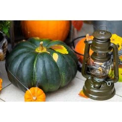 Feuerhand Sturmlaterne 'Baby Special 267', Olive, 26,5 X 13,5 X 15 Cm -Pflanzen Paradies Verkauf 3990100192 feuerhand sturmlaterne 3 121597