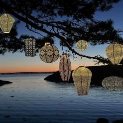 Solarlaterne 'Cylinder 18', Pink, Ø 18 X 33 Cm 19 Solarlaterne 'Cylinder 18', Pink, Ø 18 X 33 Cm -Pflanzen Paradies Verkauf 72462 lumiz IMG 8262 123930