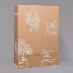 Rose Mit Topf Dallas Weiß, Topf-Ø 13 Cm, 3er-Set -Pflanzen Paradies Verkauf B2 02 Karton Sets mit Keramik 1 126161 3