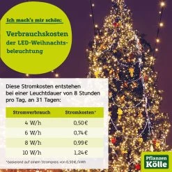 Kölle LED Regen 180 Lichter, Warmweiß, 2 M, Golddraht -Pflanzen Paradies Verkauf Plakat Weihnachtsbeleuchtung intern 24112022 116972 22