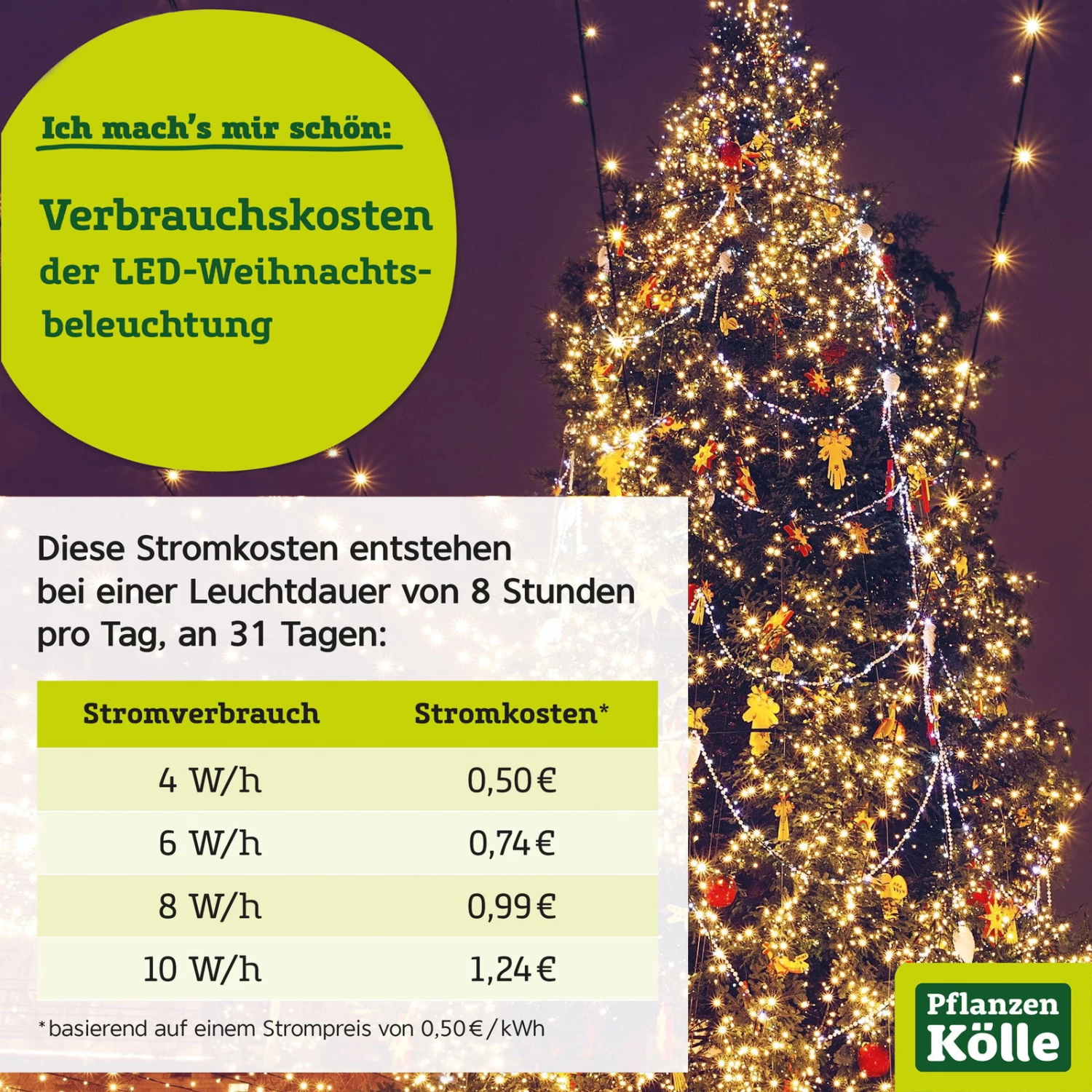 Kölle LED Lichterkette Rice Lights, 480 Lichter, Warmweiß, 36 M, Schwarzes Kabel 5 Kölle LED Lichterkette Rice Lights, 480 Lichter, Warmweiß, 36 M, Schwarzes Kabel – Bild 3