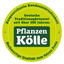 Single Stabhängematte & Gestell, Green Bay -Pflanzen Paradies Verkauf qualitaetssiegel pflanzen koelle 3000x3000 70847 622